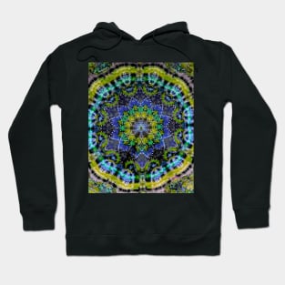 Tie Dye graphic dead heads phish festival dead and company jamband psychedelic art Hoodie